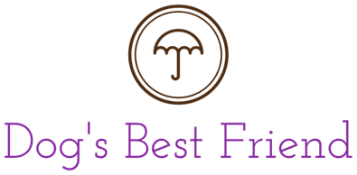 5款小白也能操作的免费电商工具,让你的网页设计脱颖而出