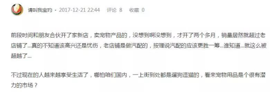 圣诞季亚马逊宠物用品大面积爆单，卖家如何来年再战？