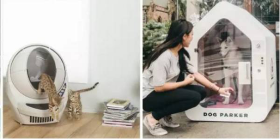 圣诞季亚马逊宠物用品大面积爆单，卖家如何来年再战？