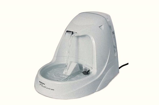 2017年10大畅销宠物用品新鲜出炉