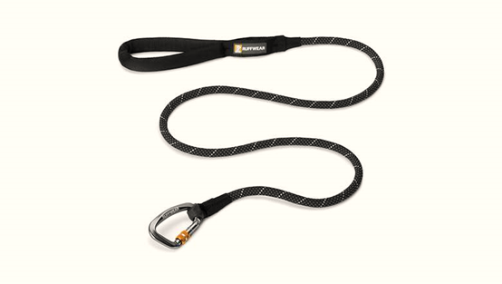 2017年10大畅销宠物用品新鲜出炉