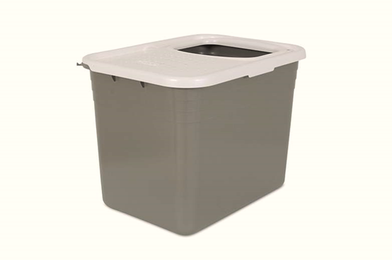 2017年10大畅销宠物用品新鲜出炉