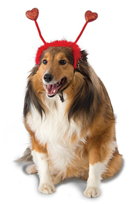 亚马逊卖家今年情人节应该卖点啥？